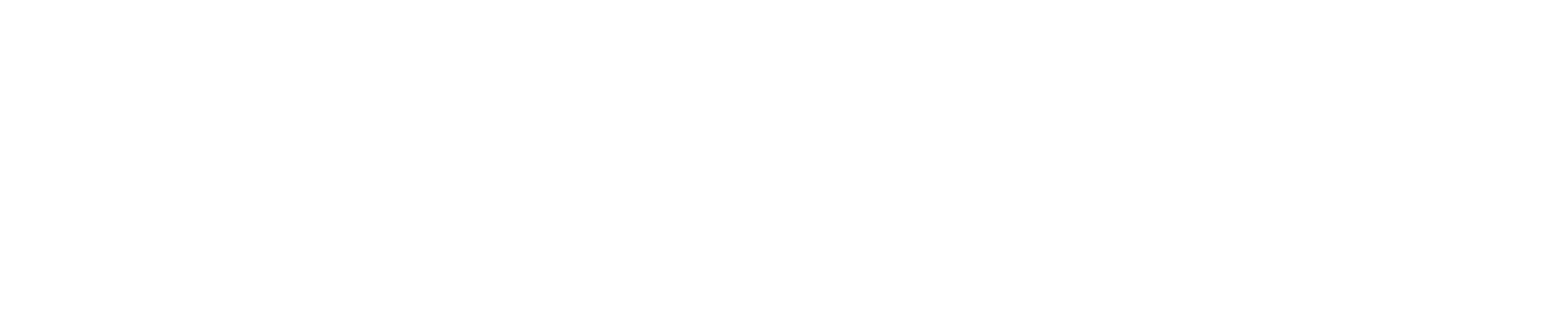 Ginsburg Foundation